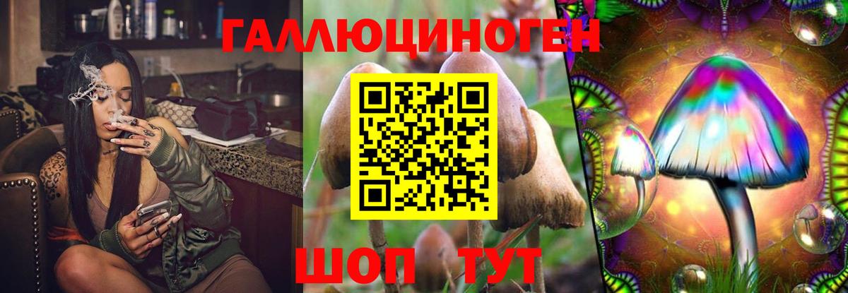 Галлюциногенные грибы GOLDEN TEACHER  Вход с VPN  Мариинск  Псилоцибиновые грибы Psilocybine cubensis 